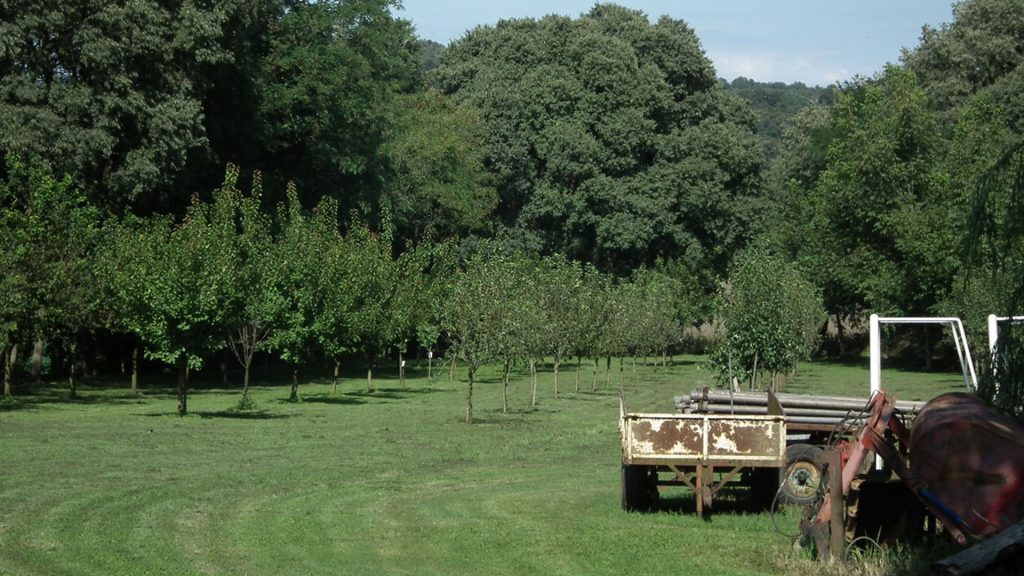 campi agriturismo le spighe