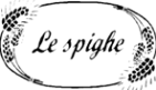 logo dark